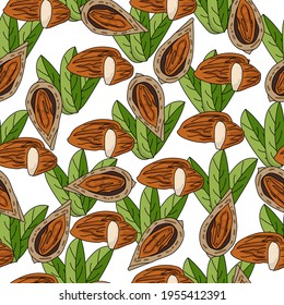Almonds seamless pattern, nuts whole and half and leaves on a white background vector illustration