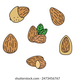 Almonds set in doodle style. Vector isolated on yellow background