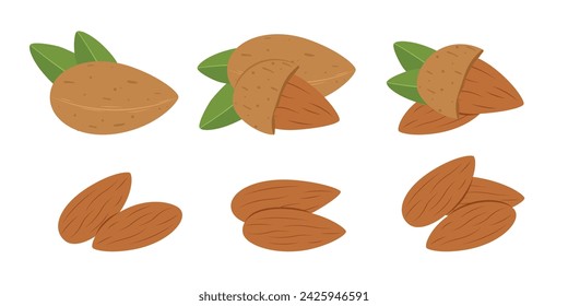 Almonds set with kernels and green leaf on white background.