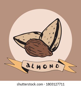 Almonds in shell and peeled. Vector illustration for cafe, restaurant, bakery, pastry, shop.
