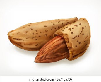 Amêndoas na casca, ícone do vetor