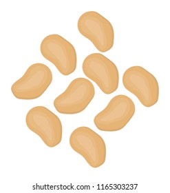 Almonds in small size specially named as marcona almonds 