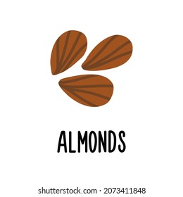The almonds vector icon is isolated on a white background. Flat modern flat illustration.
