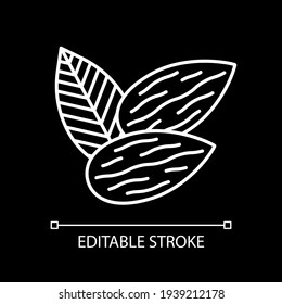 Almonds white linear icon for dark theme. Fresh nuts. Healthy eating. Dietary food with vitamins. Thin line customizable illustration. Isolated vector contour symbol for night mode. Editable stroke
