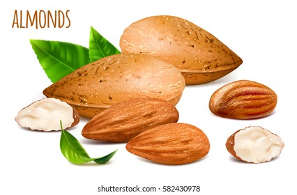 Almendras enteras y almendras. Ilustración vectorial.