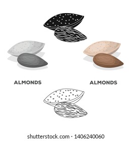 Almonds.Different kinds of nuts single icon in cartoon,black style vector symbol stock illustration.