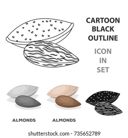 Almonds.Different kinds of nuts single icon in cartoon style vector symbol stock illustration.