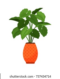 Alocasia house plant in flower pot vector icon on white background