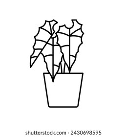 Alocasia houseplant, line icon. Alocasia frydek in flower pot. Evergreen indoor plant foliage. Editable stroke symbol. Linear illustration, thin line, minimalist style.