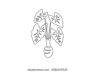 Alocasia leaf continuous one line drawing vector illustration