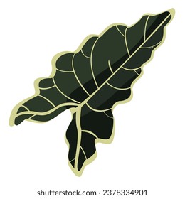 Alocasia  leaf vector, cute design isolated on white background, Eps 10 illustration