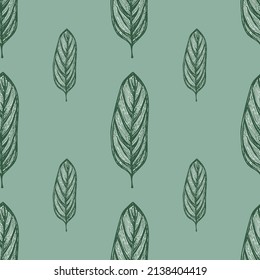 Alocasia leaves seamless pattern.Vintage tropical branch in engraving style. Hand drawn texture foliage for fabric, wallpaper, textile, print, wrapping paper. Vector illustration.