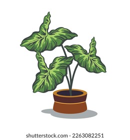 alocasia on pot leaf vector design