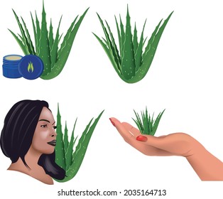 aloe aesthetic plant for skin care