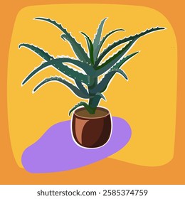 Aloe arborescens in a clay pot - medicinal plant