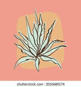 Aloe cactus art print hand drawn design.