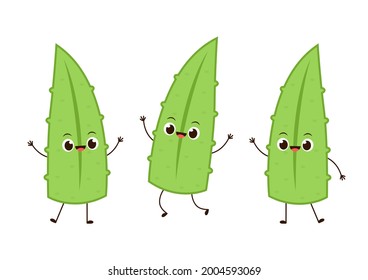 Diseño de caracteres aloe. Vector de dibujos animados de Aloe. Aloe sobre fondo blanco.