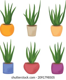 Aloe. A collection of images of the green aloe vera plant in pots of various shapes and colors. Medicinal plant as a skin care product. Vector illustration isolated on a white background