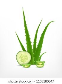 Aloe and cucumber. Vector icon. EPS10