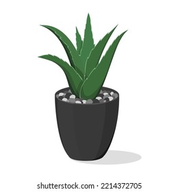 Aloe en la olla oscura. Plan de casa. Hojas verdes. Gris. Ilustración coloreada en blanco. Textura vectorial.