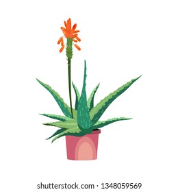 Aloe flower illustration. Plant, cactus, flora. Nature concept. Vector illustration can be used for topics like beauty, cosmetics, body care