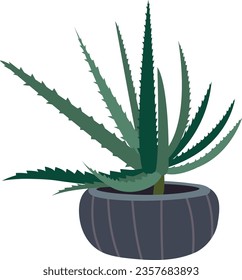 Aloe in flowerpot. Urban jungle garden. Natural greenery