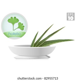 Aloe and ginkgo biloba plants, holistic icons, alternative medicine