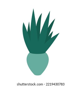 Aloe home plant in flat style vector illustration