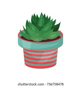 Aloe houseplant, potted plant vector illustration