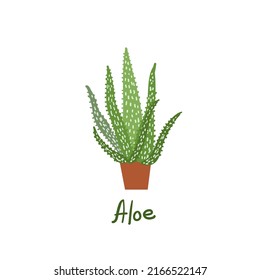 Aloe. Houseplants vector illustrations. Urban jungles. Plants are friends. Culd be used for web, notebook, phone case, etc