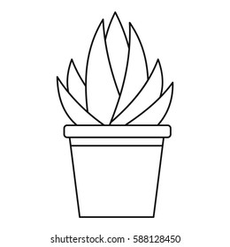 Aloe humilis plant icon. Outline illustration of aloe humilis plant vector icon for web