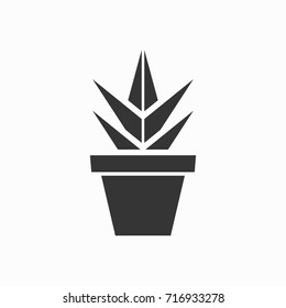 Aloe icon, illustration isolated vector sign symbol
