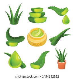 Aloe icons set. Cartoon set of aloe vector icons for web design