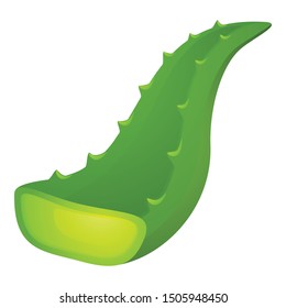 Aloe leaf icon. Cartoon of aloe leaf vector icon for web design isolated on white background