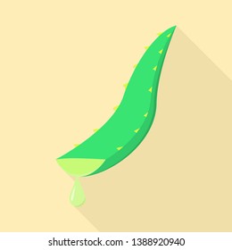Aloe leaf oil icon. Flat illustration of aloe leaf oil vector icon for web design