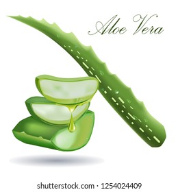 aloe leaf and wire cutters isolated on white background 3D vector