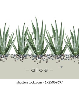 Aloe leaves. Green aloe. Design element in the interior. Sticker, banner, poster, print, logo, card. Vector illustration.