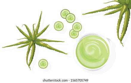 Aloe plant and cucumber slices. Green cream for body. White background. Natural herbal cosmetic Vector