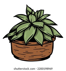 Aloe plant on pot - vector hand drawn