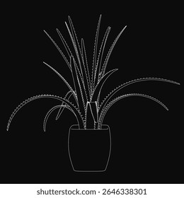 Aloe plant sketched in black and white with long, thin leaves and spiky stems, placed in a neutral pot against a solid black background. The minimalist drawing highlights the plant's natural elegance.