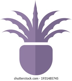 Planta de aloe para spa, ilustración, vector sobre fondo blanco.