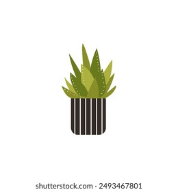 Aloe plant in striped pot vector icon. Green Aloe or Agave, Gasteria potted plant in flowerpot container flat illustration. Cartoon tropical exotic succulent plant. Nature home decor