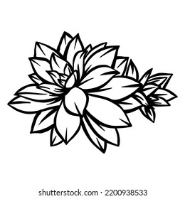 Aloe plant - vector hand drawn - Out line