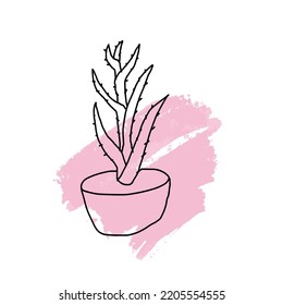 Aloe In A Pot Against A Pink Paint Spot. Doodle Potted Flowers On A Background Of Paint Stains. Vector Doodle On The Background Of A Paint Spot.