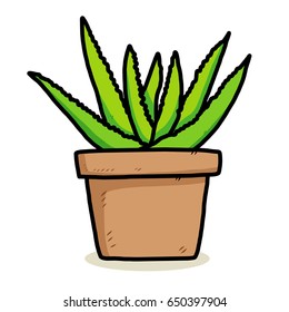 aloe pot / cartoon vector and illustration, hand drawn style, isolated on white background.