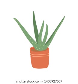 Aloe. Pot plant. Houseplant isolated on white background. Vector illustration in hand-drawn flat
