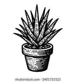 aloe en un bosquejo vectorial de olla