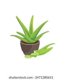 Aloe with aloe slice stock illustration