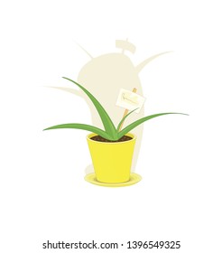 Aloe succulent plant in a yellow pot with a nameplate stiked in the ground and a long shadow behind it. Vector illustration. Cartoon style. Isolated. White background. 