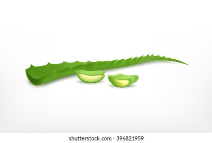 Aloe. Vector icon. EPS10